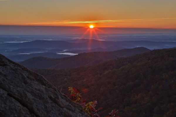 Looney, Hollice 아티스트의 USA-Virginia-Shenandoah National Park-Sunrise along Skyline Drive in the Fall작품입니다.